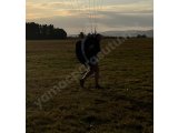 Siyah harness